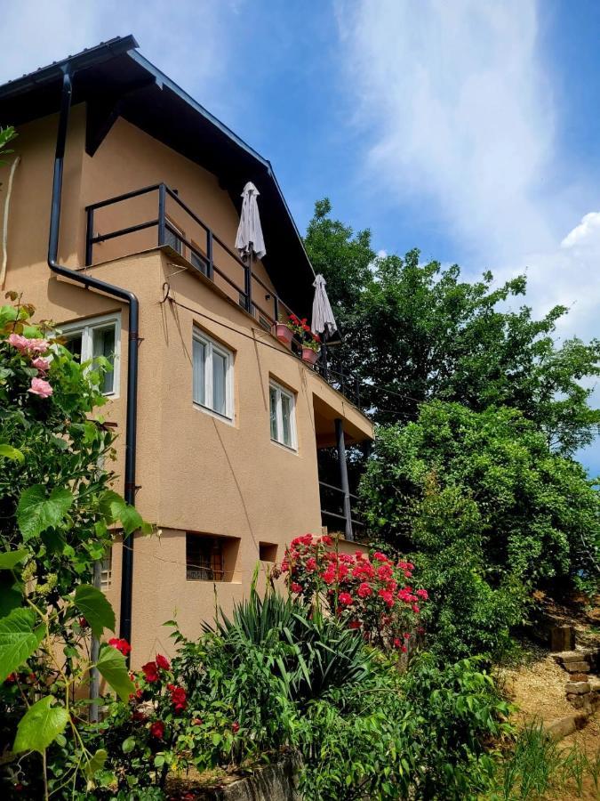Hotel Casa Ema Orşova Esterno foto